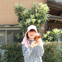 高倉びわの葉茶５袋セット